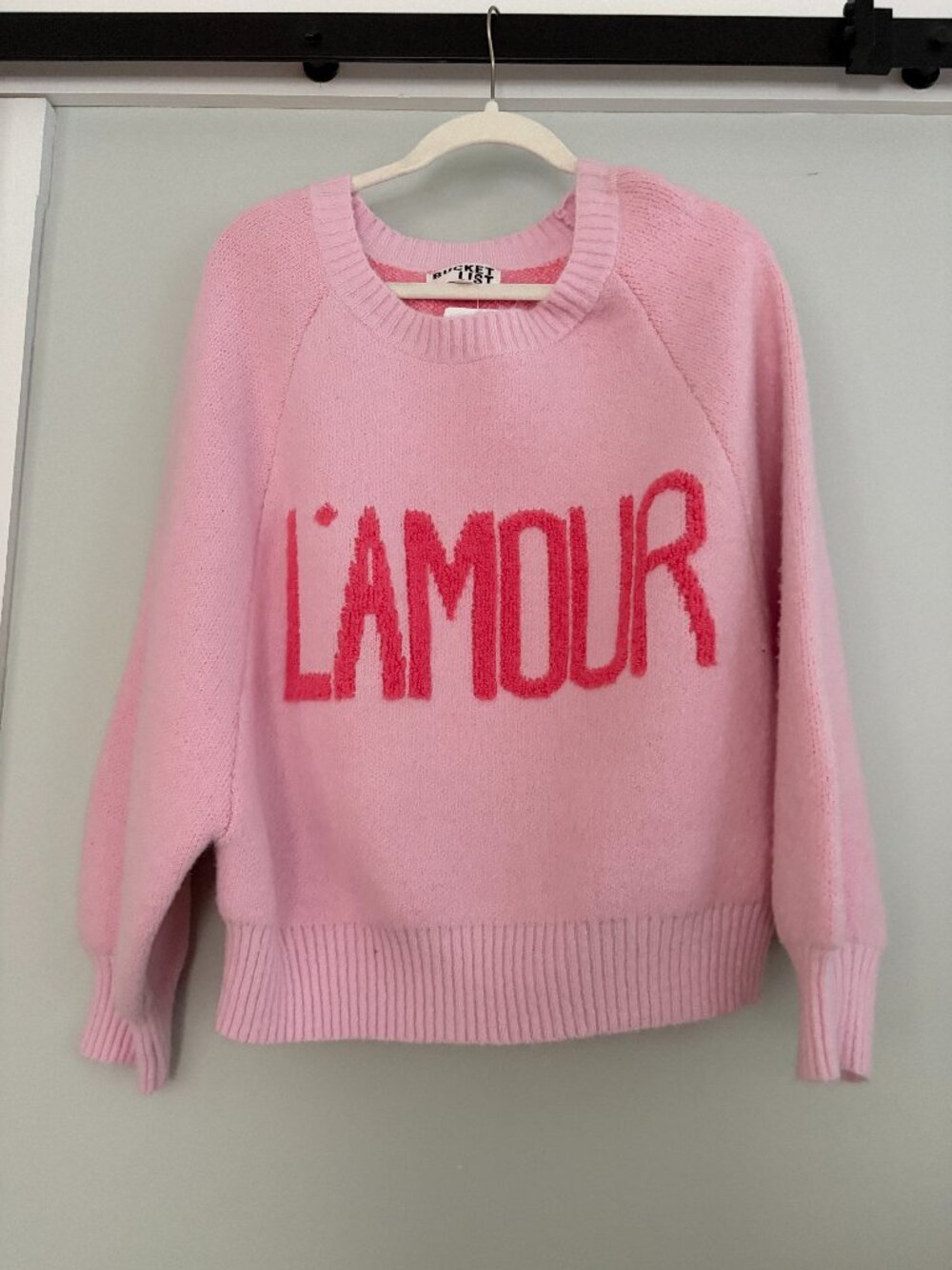 NWT L'Amour Sweater (size L) in pink